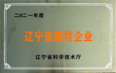 辽宁省瞪羚企业